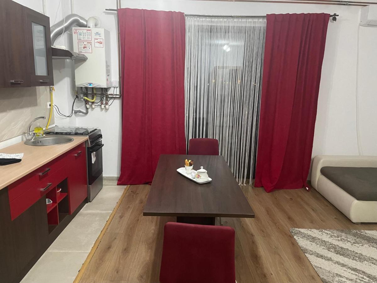 Apartament Adriana Apartment Giroc Exterior foto